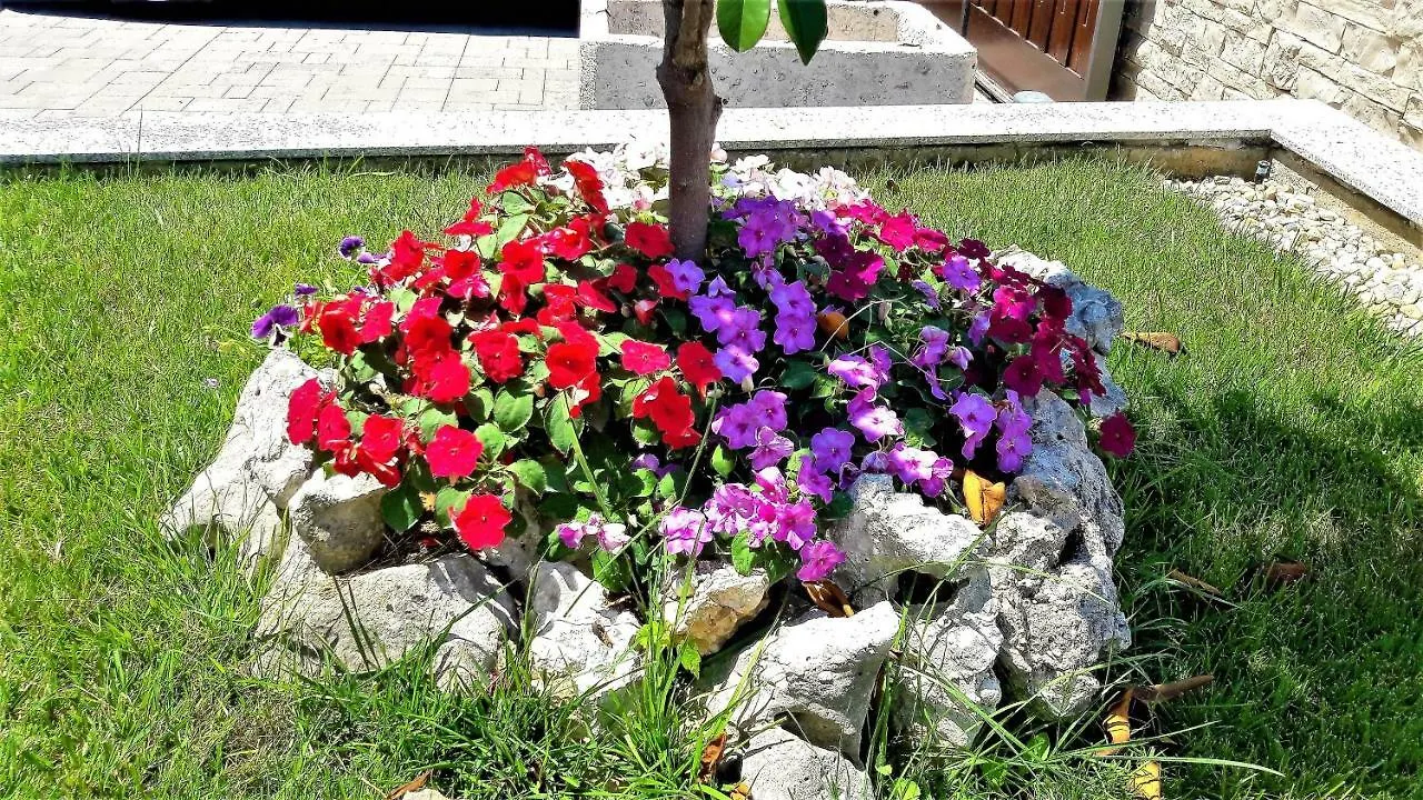 זאדאר Apartments Ena